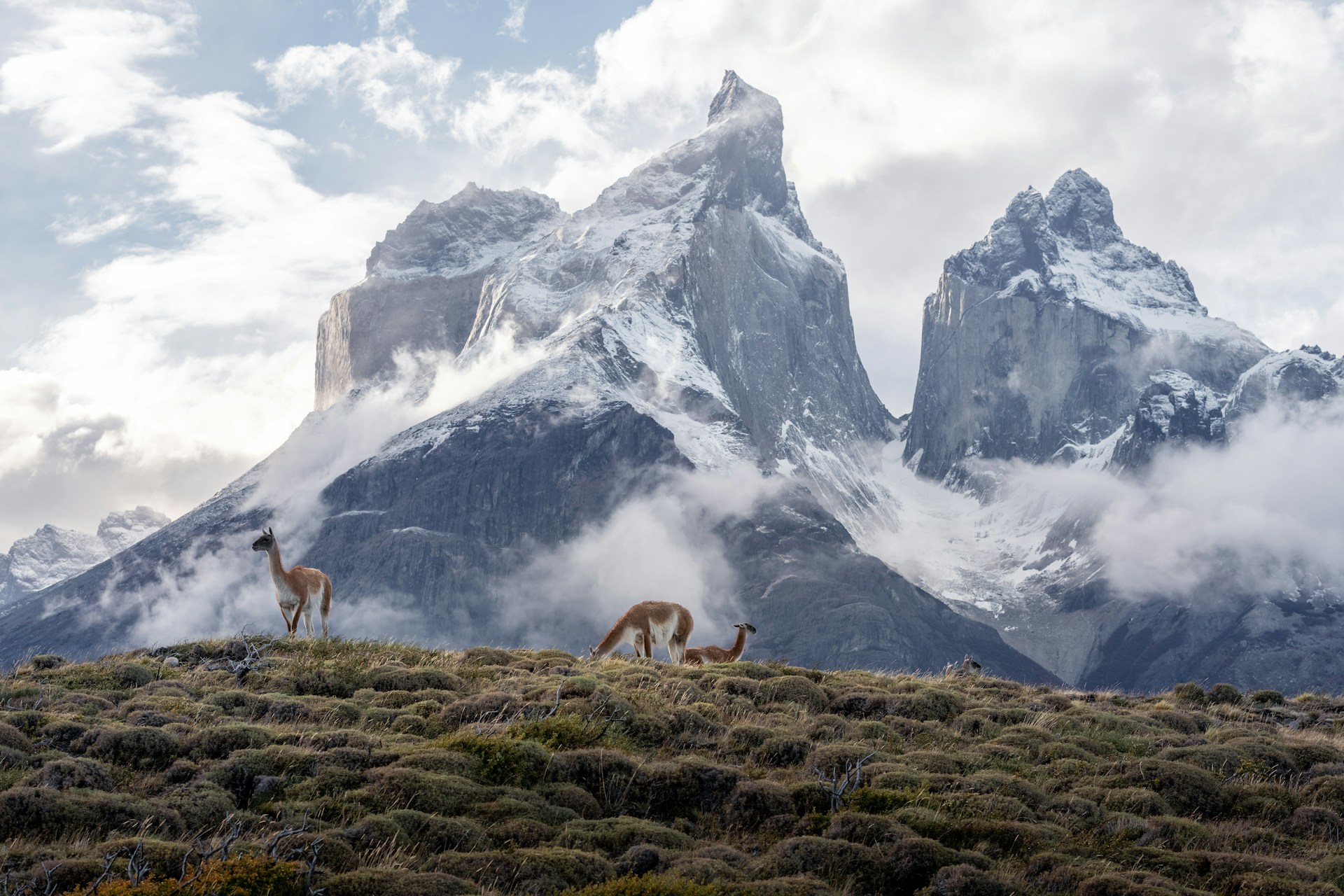 Andes Ecuatoriales 2026
